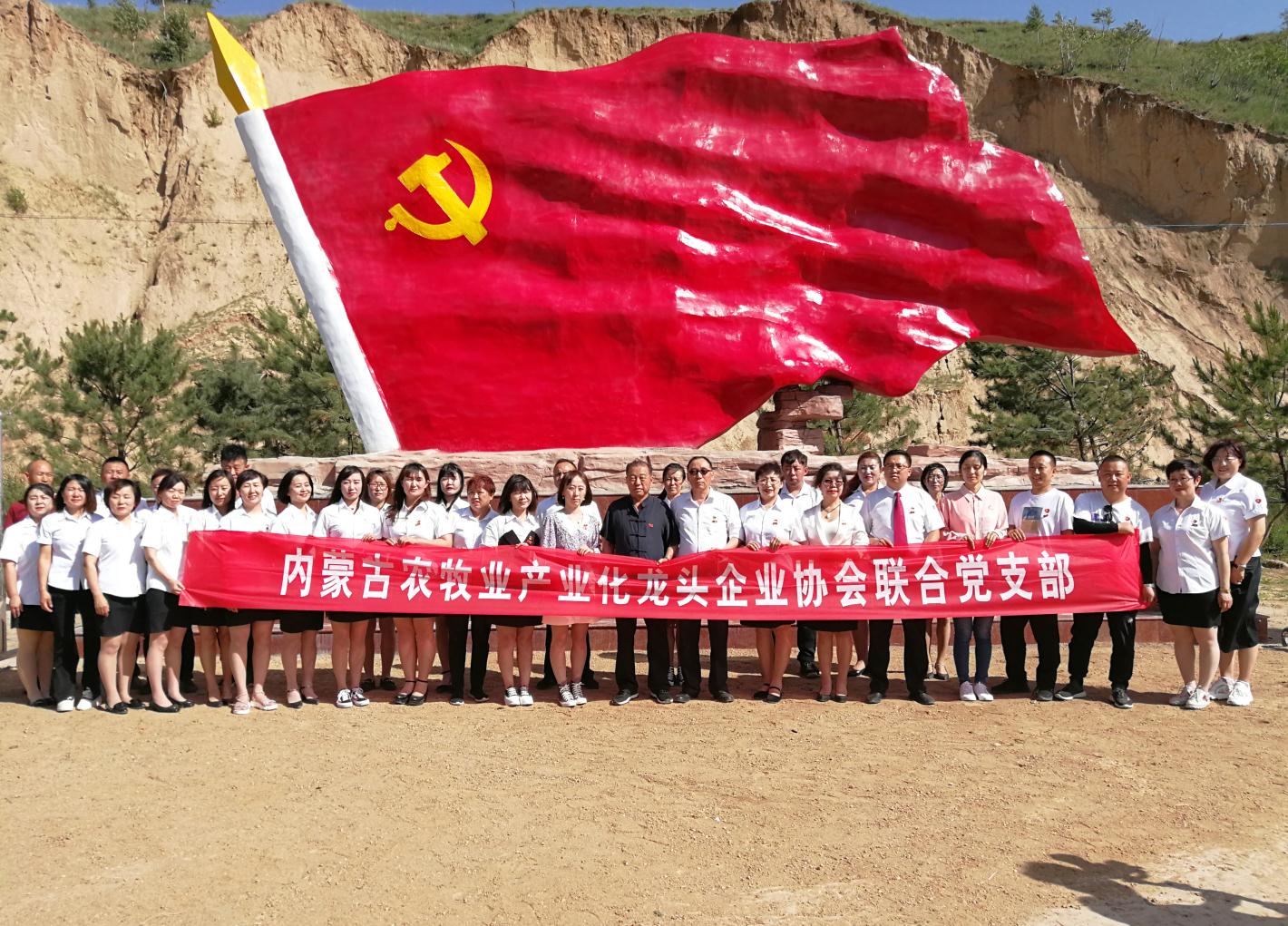 內(nèi)蒙古農(nóng)牧業(yè)產(chǎn)業(yè)化龍頭企業(yè)協(xié)會(huì)走進(jìn)石人灣村開展“辦實(shí)事、解難題，送溫暖，傳黨恩”公益活動(dòng)